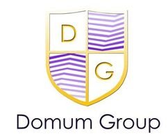 Компания Domum Group