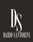 Компанія DarioSantorini Group