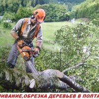 Бригада Спил,обрезка деревьев Полтава.